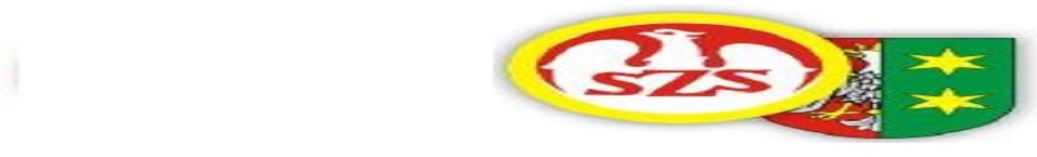 Lubuska Olimpiada Młodzieży 2014